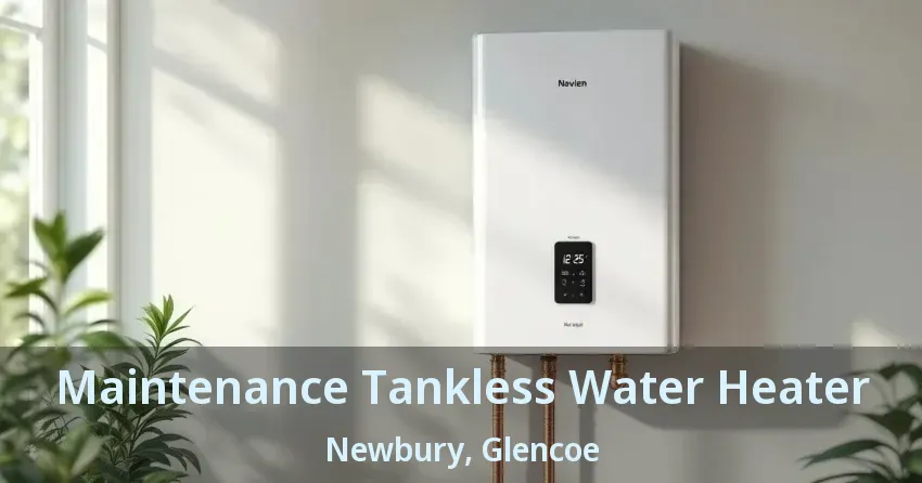 Maintenance Tankless Water Heater Newbury, Glencoe - ON Maintenance Tankless Water Heater Newbury, Glencoe - ON