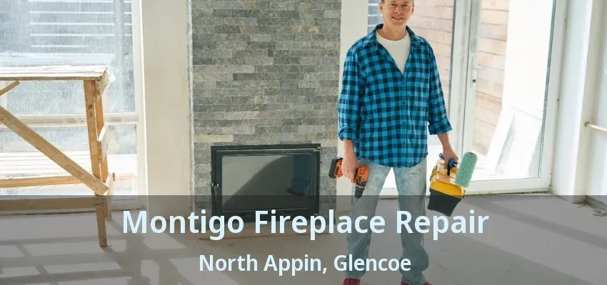 Montigo Fireplace Repair North Appin, Glencoe - ON