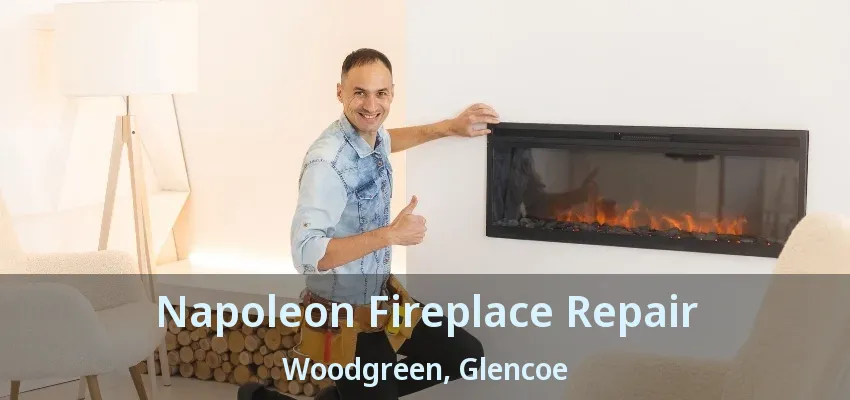Napoleon Fireplace Repair Woodgreen, Glencoe - ON Napoleon Fireplace Repair Woodgreen, Glencoe - ON