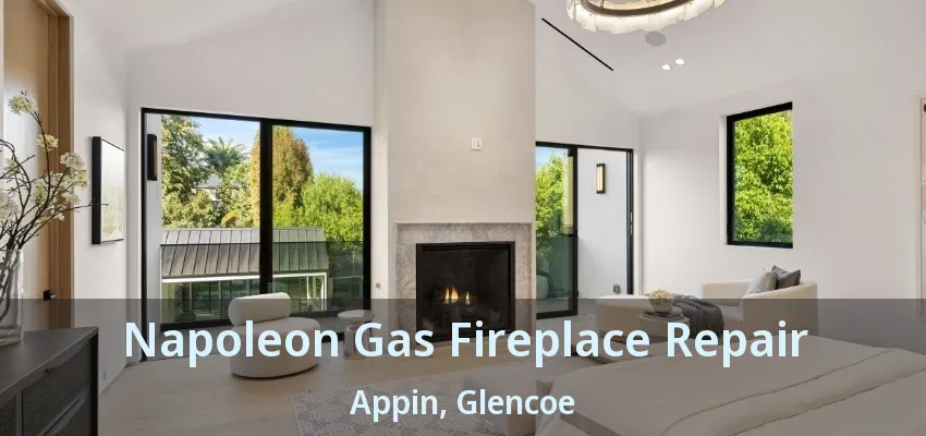 Napoleon Gas Fireplace Repair Appin, Glencoe - ON Napoleon Gas Fireplace Repair Appin, Glencoe - ON