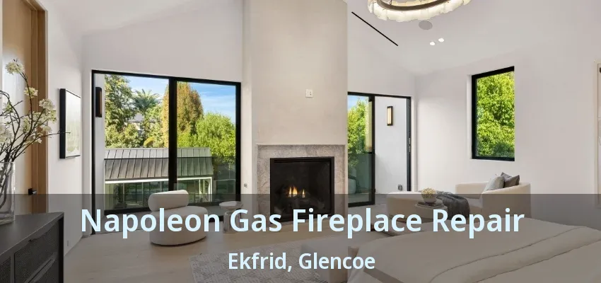 Napoleon Gas Fireplace Repair Ekfrid, Glencoe - ON Napoleon Gas Fireplace Repair Ekfrid, Glencoe - ON