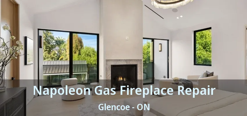 Napoleon Gas Fireplace Repair Glencoe - ON Napoleon Gas Fireplace Repair Glencoe - ON