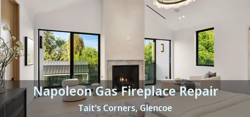 Napoleon Gas Fireplace Repair Tait's Corners, Glencoe - ON Napoleon Gas Fireplace Repair Tait's Corners, Glencoe - ON