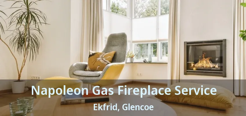 Napoleon Gas Fireplace Service Ekfrid, Glencoe - ON