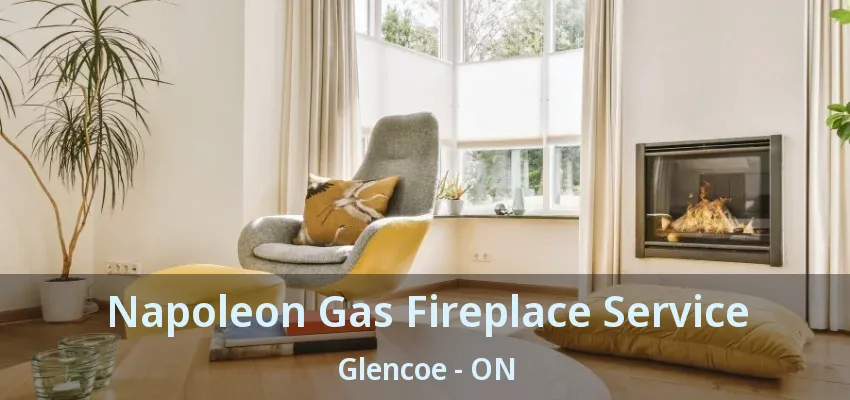 Napoleon Gas Fireplace Service Glencoe - ON