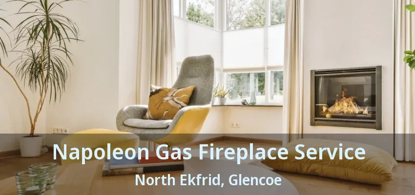 Napoleon Gas Fireplace Service North Ekfrid, Glencoe - ON Napoleon Gas Fireplace Service North Ekfrid, Glencoe - ON